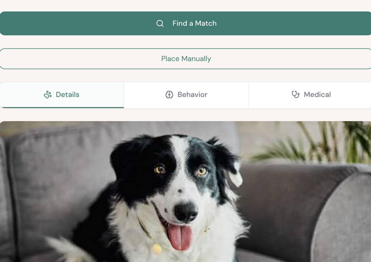 Pact animal detail view showing a dog’s photo, Find a Match and Place Manually buttons, and Details, Behavior, and Medical tabs.